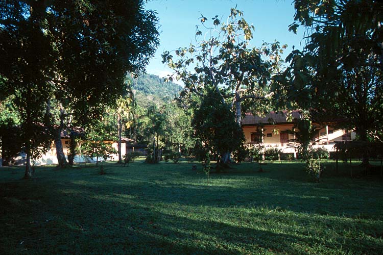 Amazonia Lodge