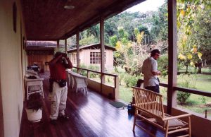 Amazonia Lodge forest