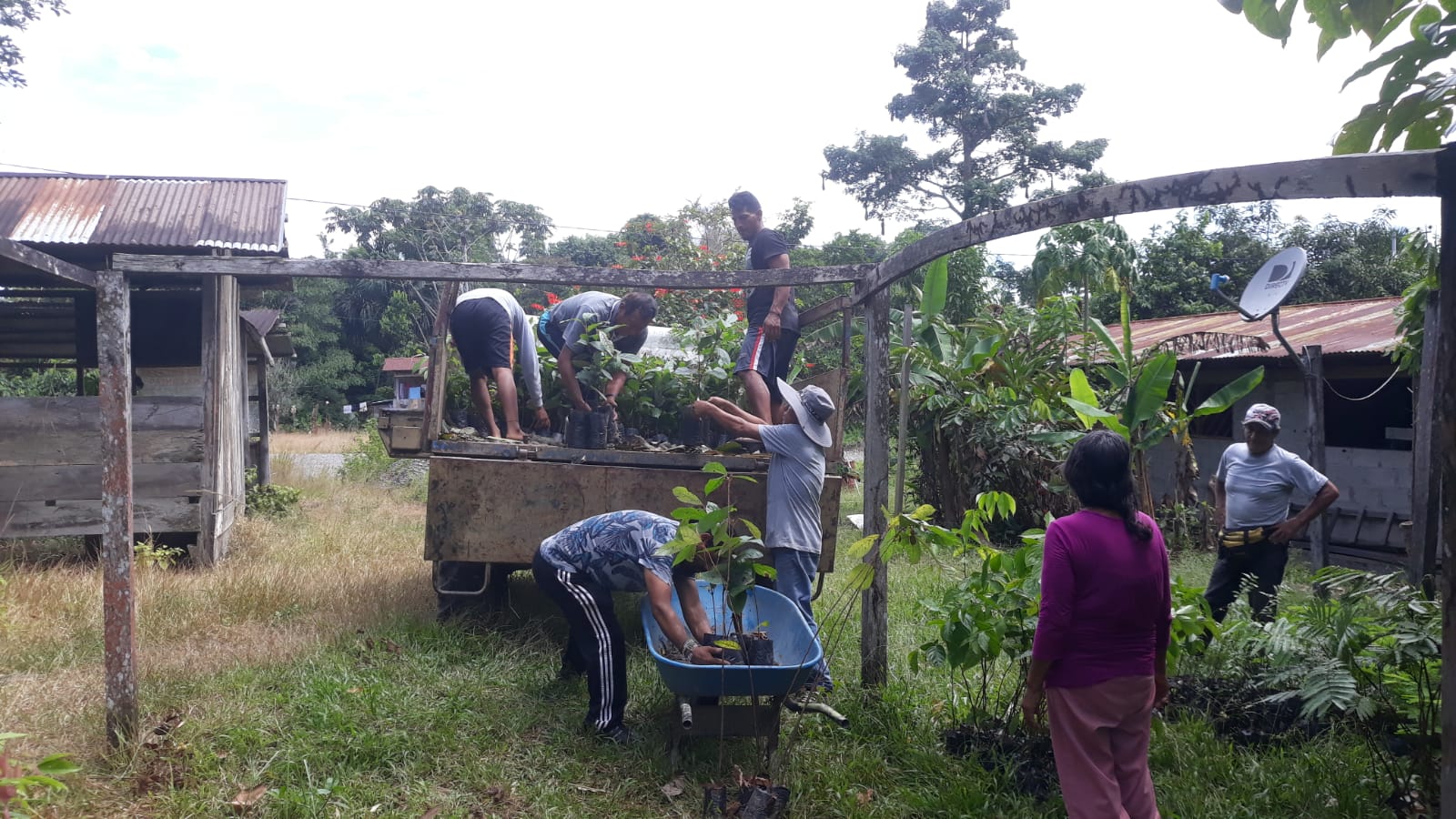 Amazonia Lodge Perú - Manu tours